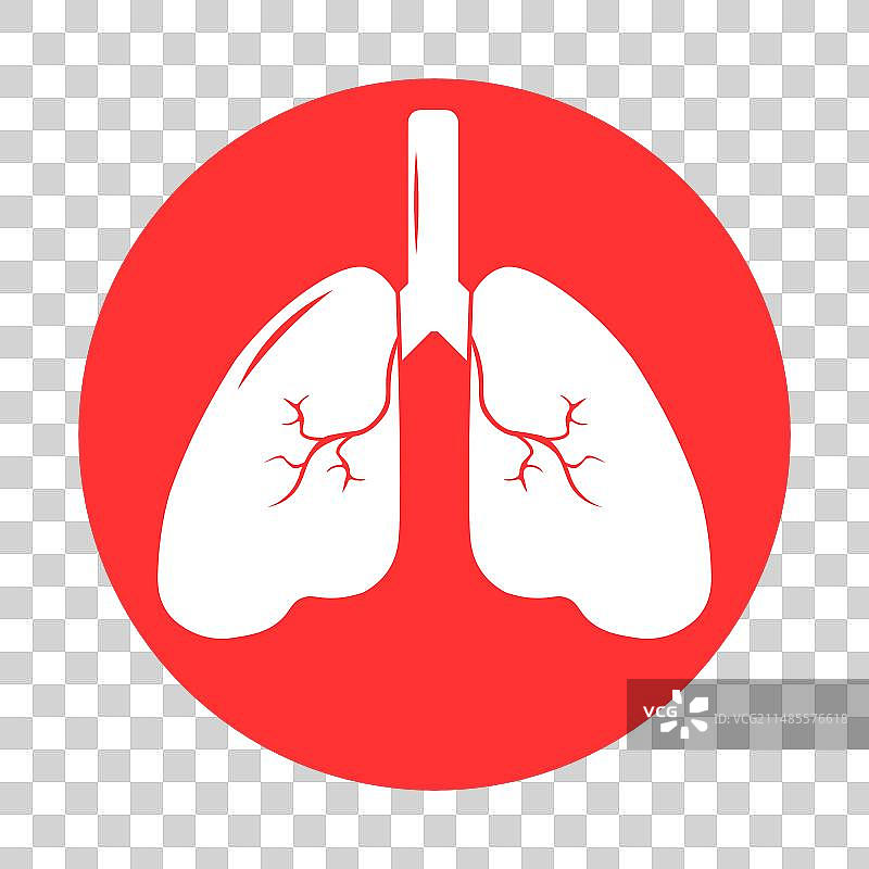 肺部人体图标：呼吸系统健康肺部图片素材