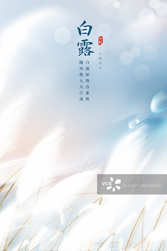 弥散风二十四节气系列插画海报模版-秋天 风吹白色芦苇荡小清新插画 运动模糊背景 竖版图片素材