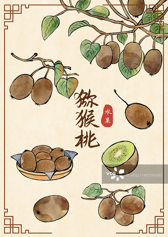 猕猴桃国风插画图片素材
