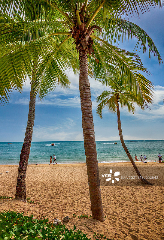 椰风海韵之三亚风光图片素材