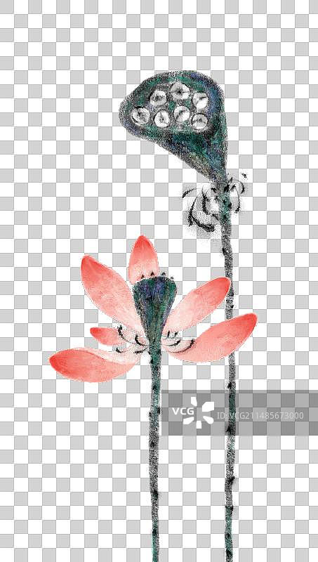 手绘清新新中式夏天荷花莲花莲蓬插画图片素材