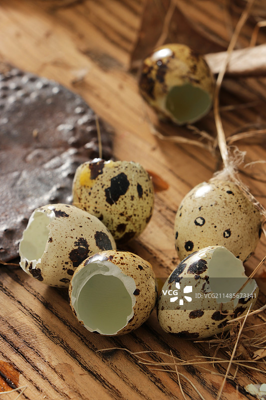鹌鹑蛋图片素材