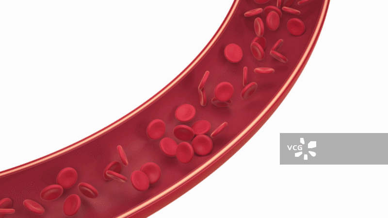 血管中的细胞3D渲染图片素材