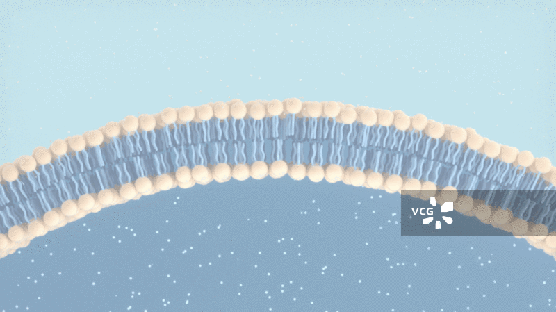 细胞膜与分子结构3D渲染图片素材