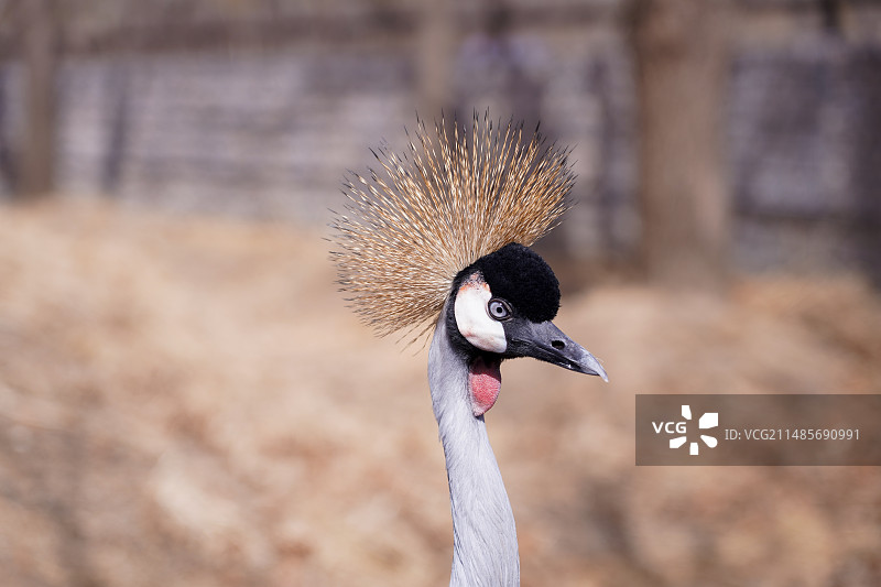 你是谁图片素材