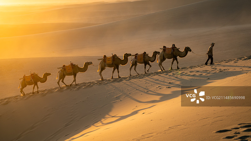 鸣沙山驼铃图片素材