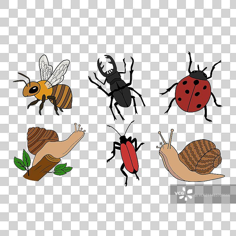 卡通昆虫蜜蜂素材合集图片素材