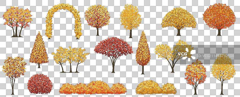 秋色树木和灌木合集图片素材