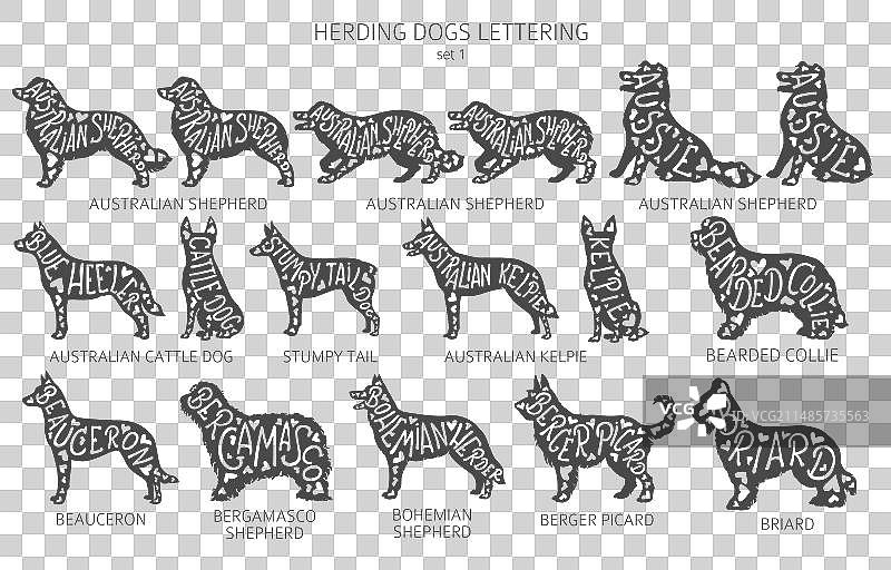 带字母的狗品种剪影图片素材