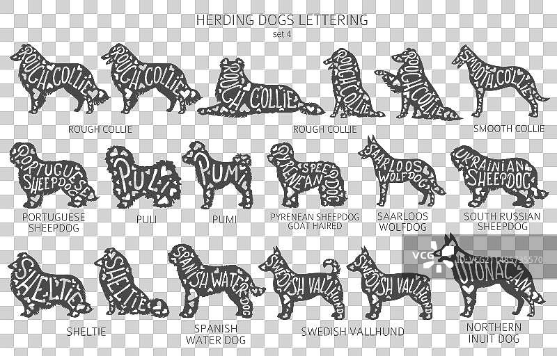 带字母的狗品种剪影图片素材