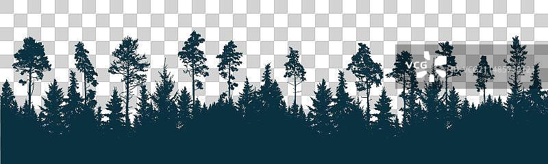 松树针叶林剪影图片素材