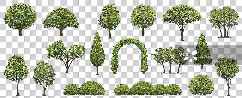 树木与灌木素材图片素材