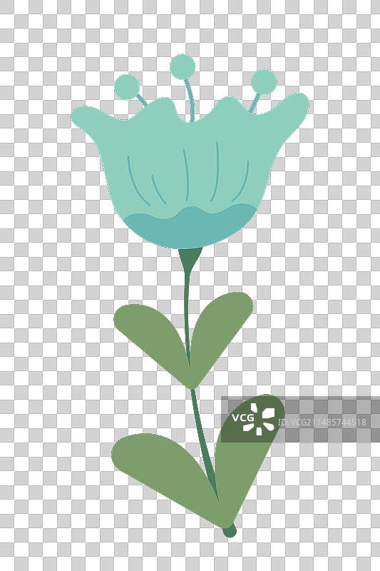 白色背景上孤立的浅蓝色花朵图片素材