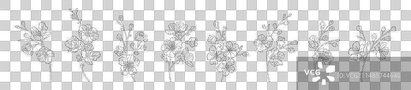 带花的杏树枝组合图片素材