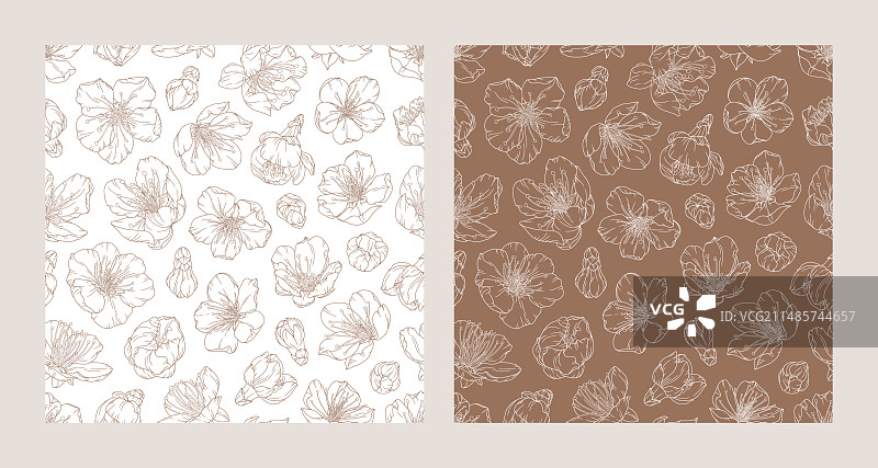 杏花盛开无缝图案合集图片素材