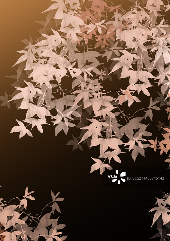 枫叶插画图片素材