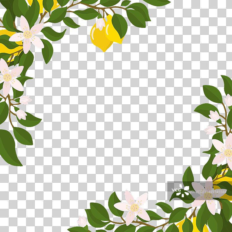 柠檬枝与柠檬边角装饰图片素材