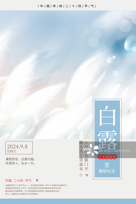 传统封面设计二十四节气系列插画海报模版-秋天 风吹白色芦苇荡小清新插画 运动模糊背景 竖版图片素材