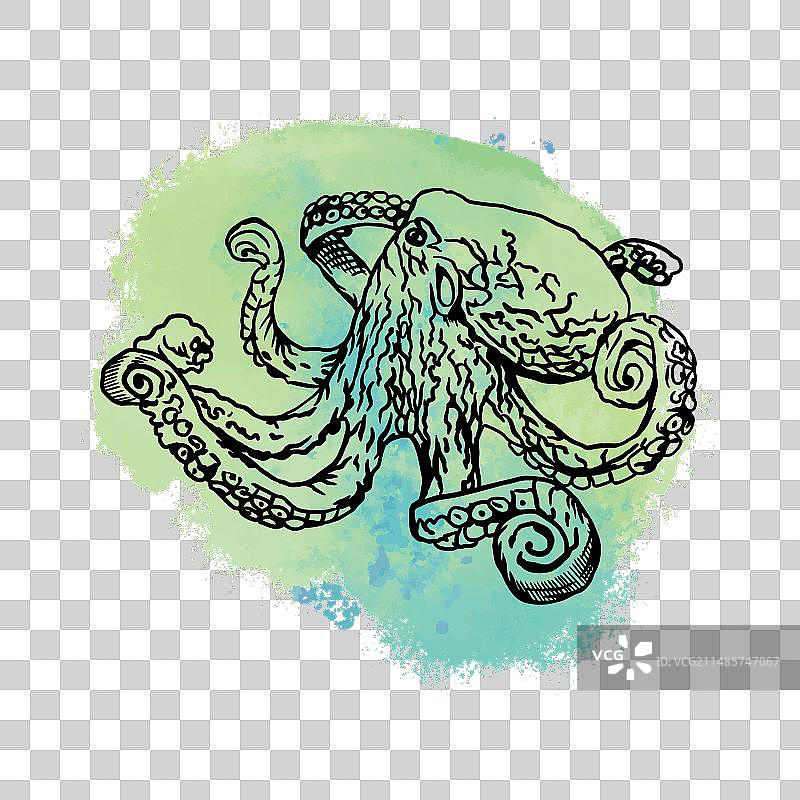 蓝色章鱼图案图片素材