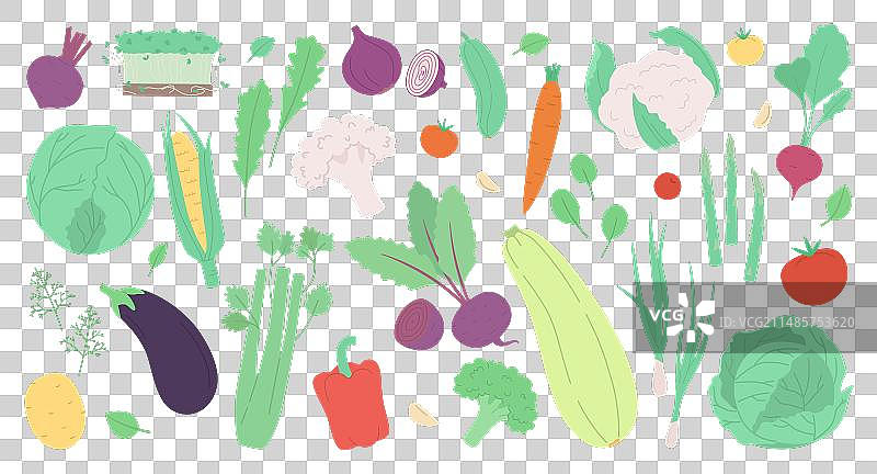 新鲜蔬菜和香草图片素材