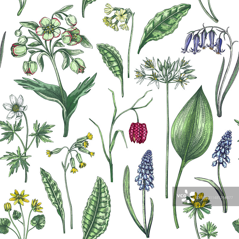 春季花卉野花无缝图案图片素材