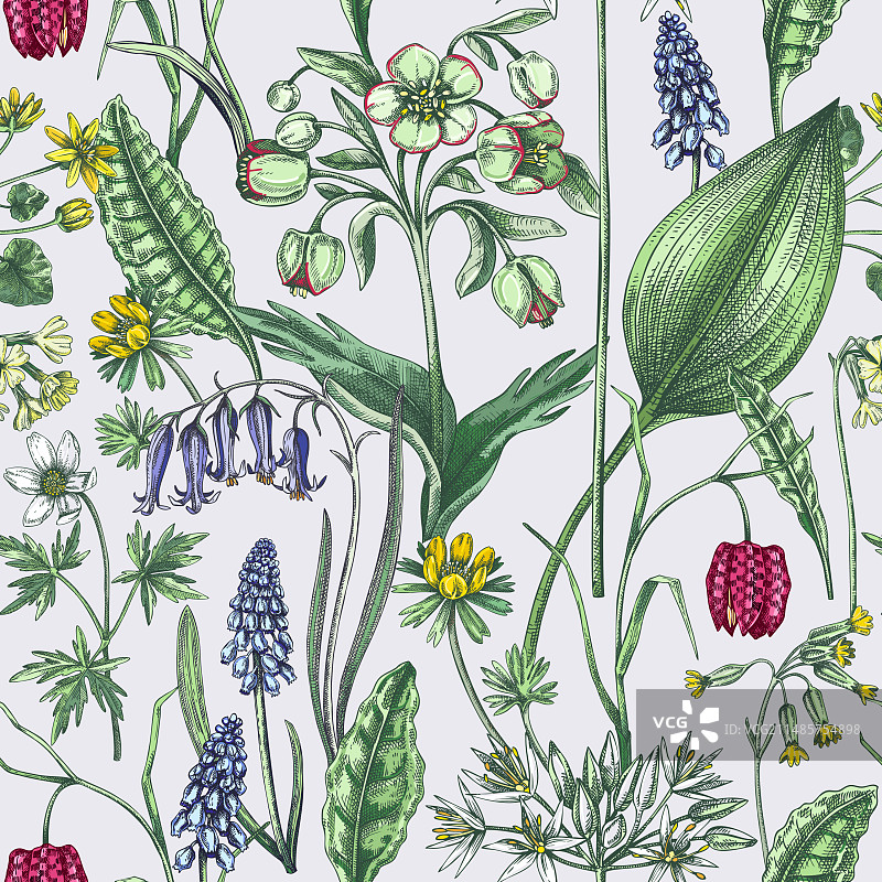 春季花卉野花无缝图案图片素材