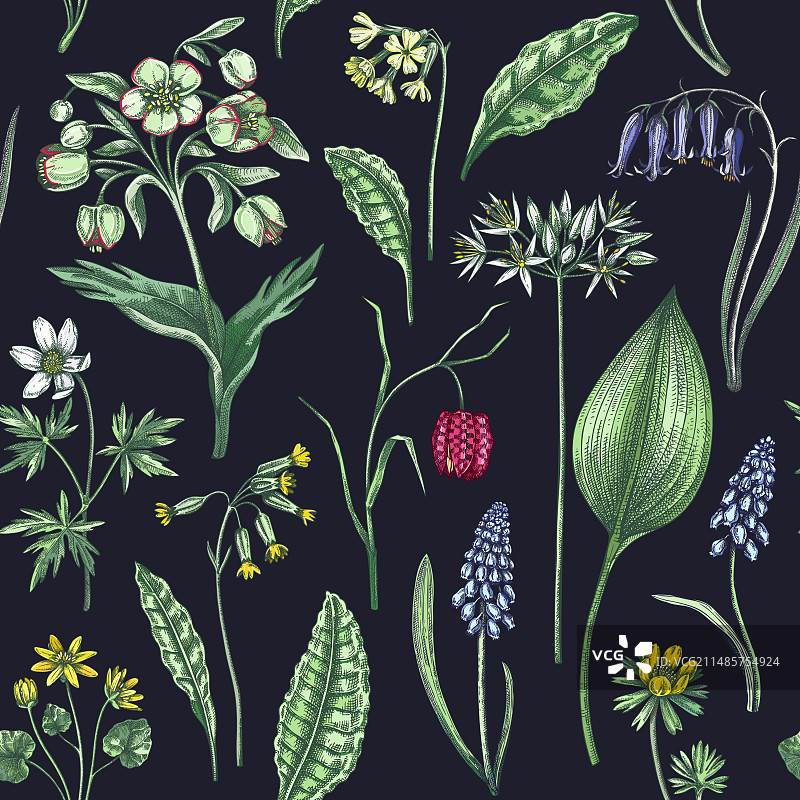 春季花卉野花无缝图案图片素材