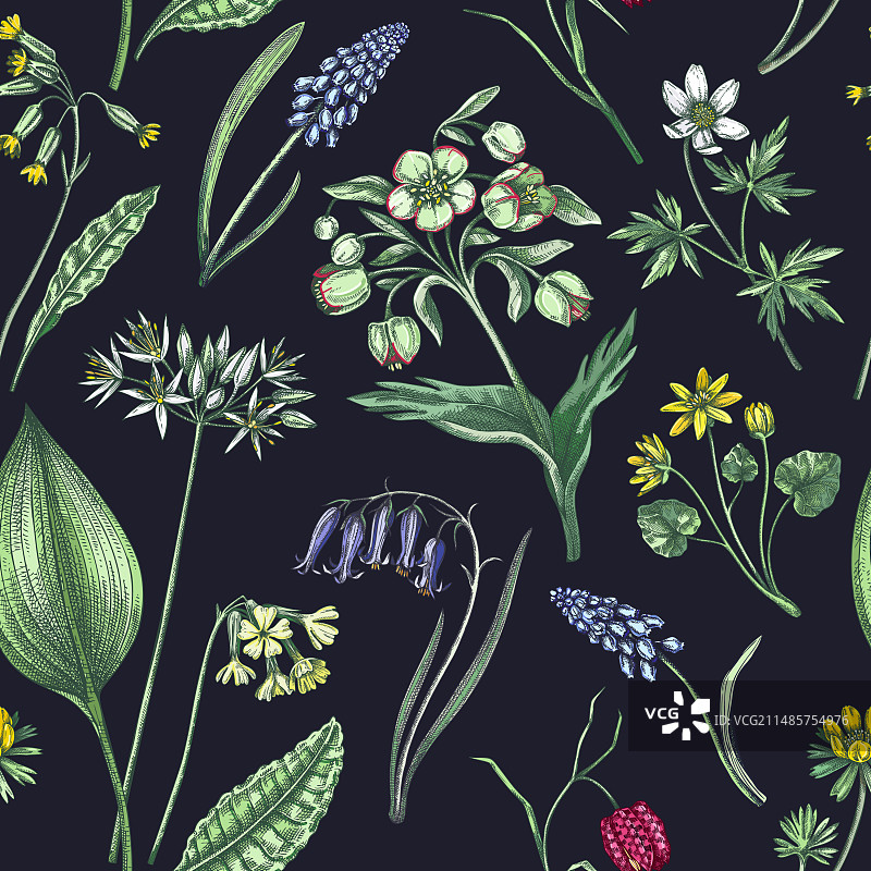 春季花卉野花无缝图案图片素材