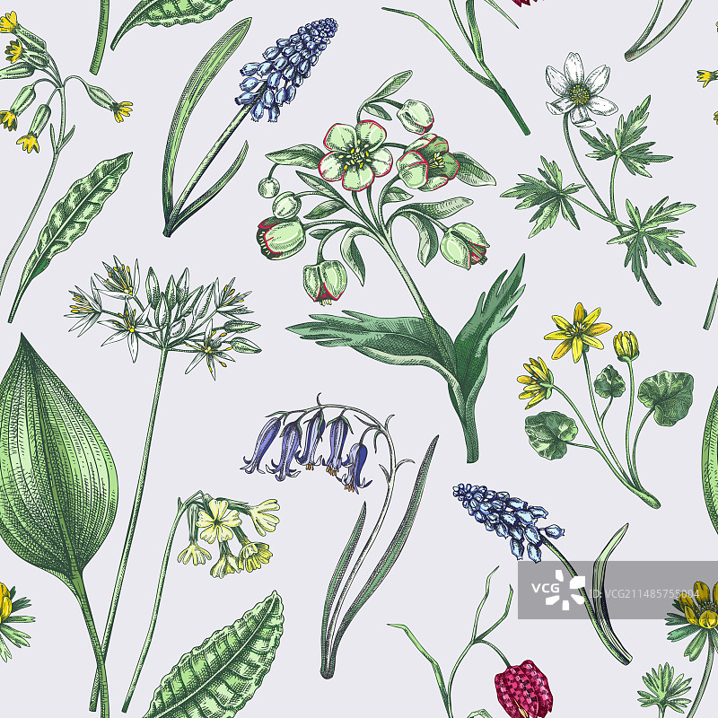 春季花卉野花无缝图案图片素材