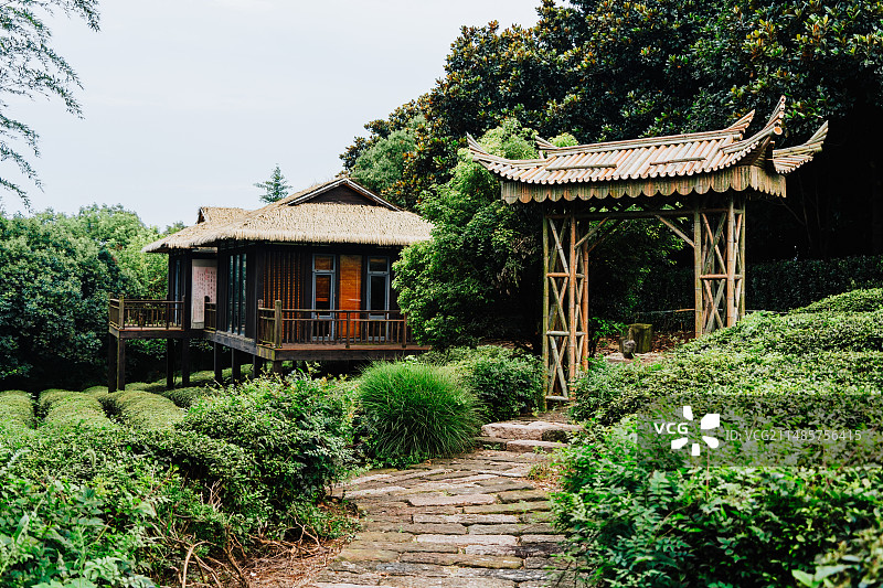 湖州太湖茶园图片素材