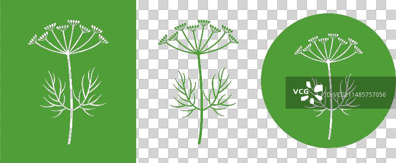 香芹籽图片素材