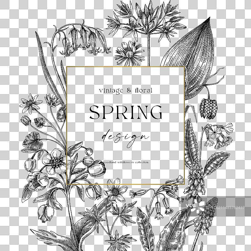 春天花环设计野花素描图片素材