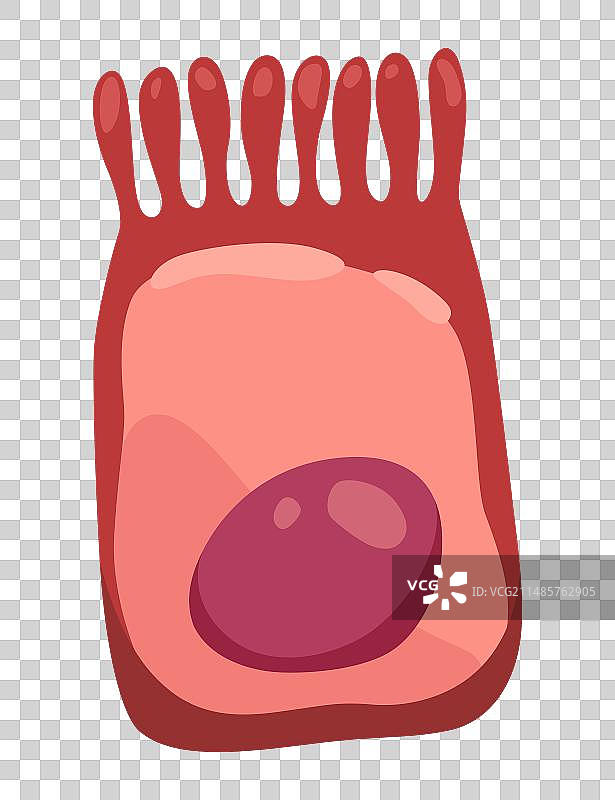 人体细胞类型医学生物图标图片素材