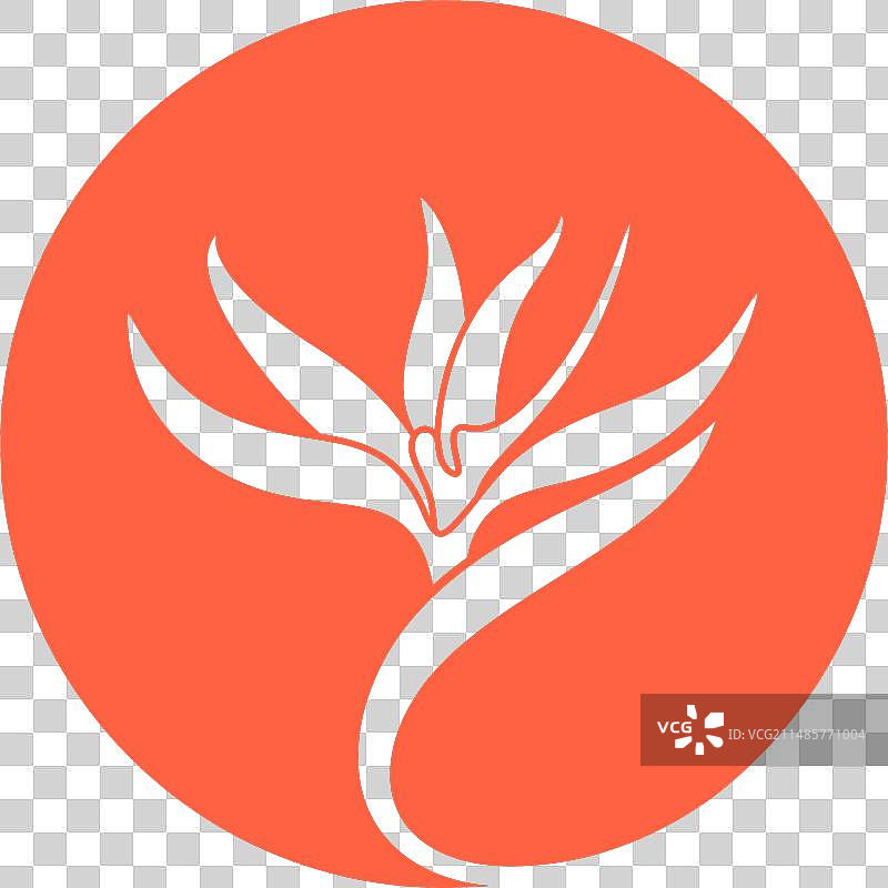 天堂鸟图片素材