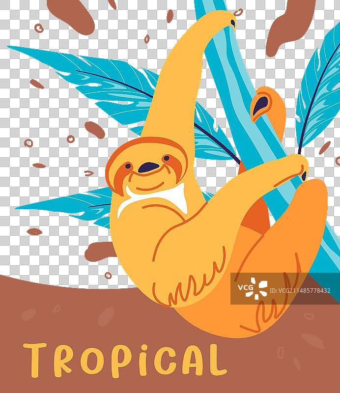 挂在树枝上的热带动物树懒图片素材