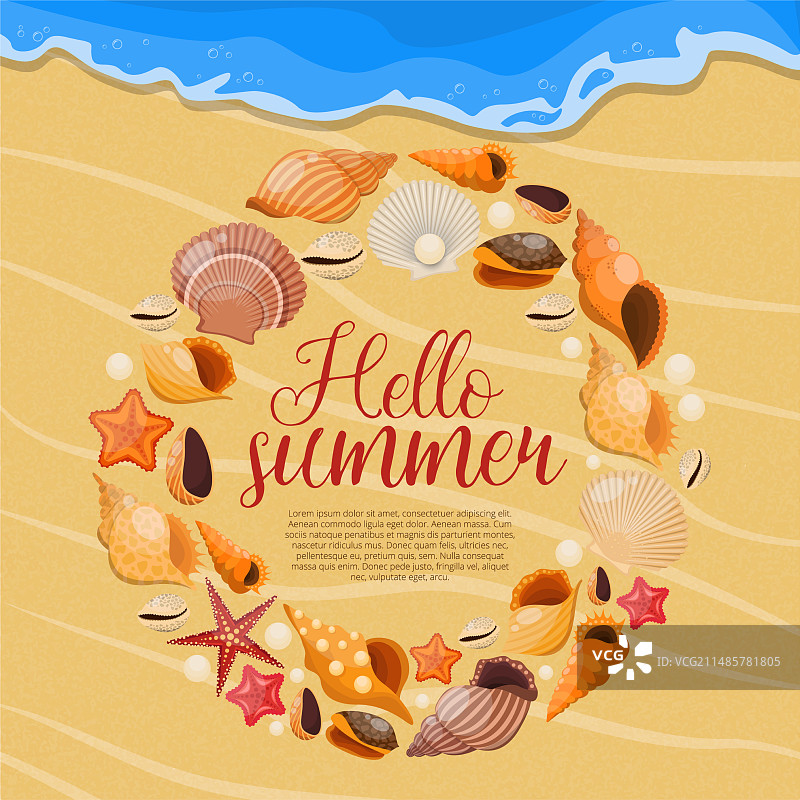 夏季海螺海贝招贴画图片素材