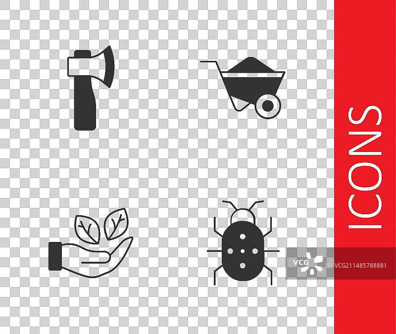 科罗拉多甲虫木斧手持树叶图片素材