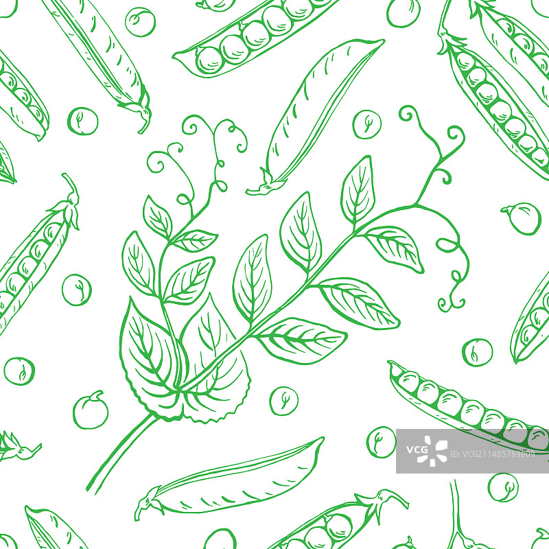 手绘农场豌豆荚无缝图案图片素材
