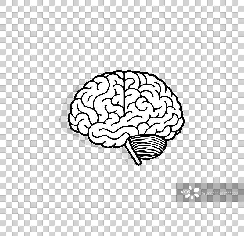 大脑草图思维智力符号图片素材