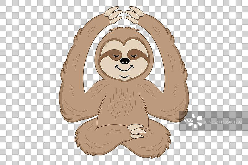 冥想中的树懒图片素材