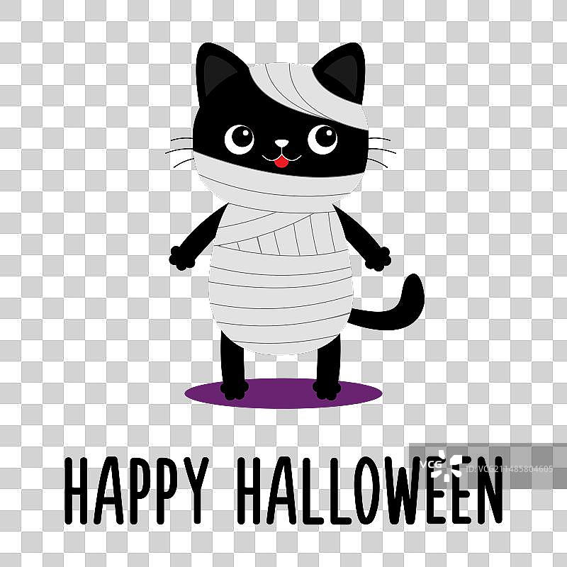 万圣节快乐：戴着木乃伊怪物帽的黑猫图片素材