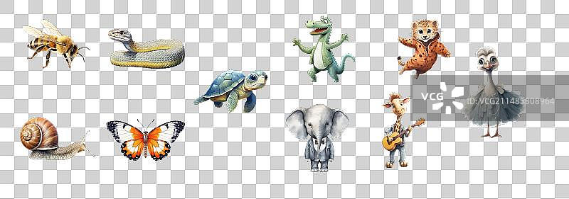 包含蜜蜂在内的十种不同动物合集图片素材