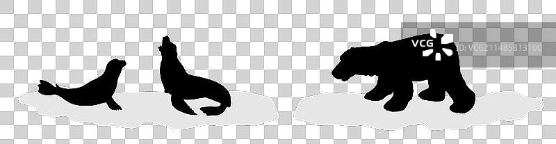 北极熊捕猎海豹冰山剪影图片素材