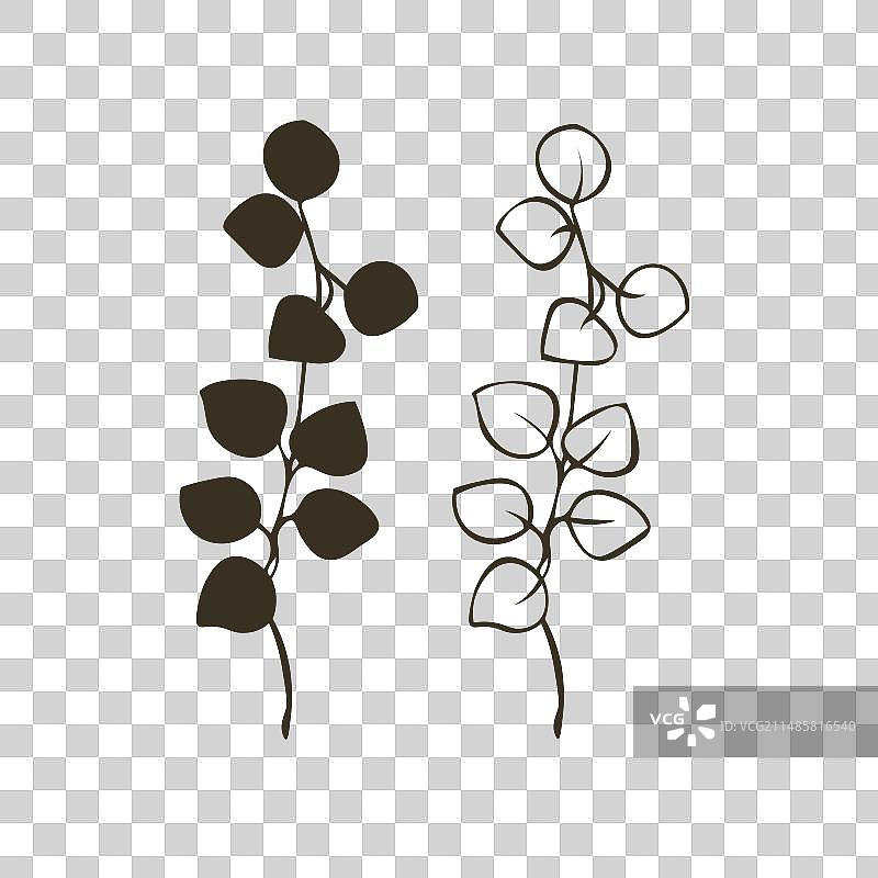 植物学主题素材图片素材