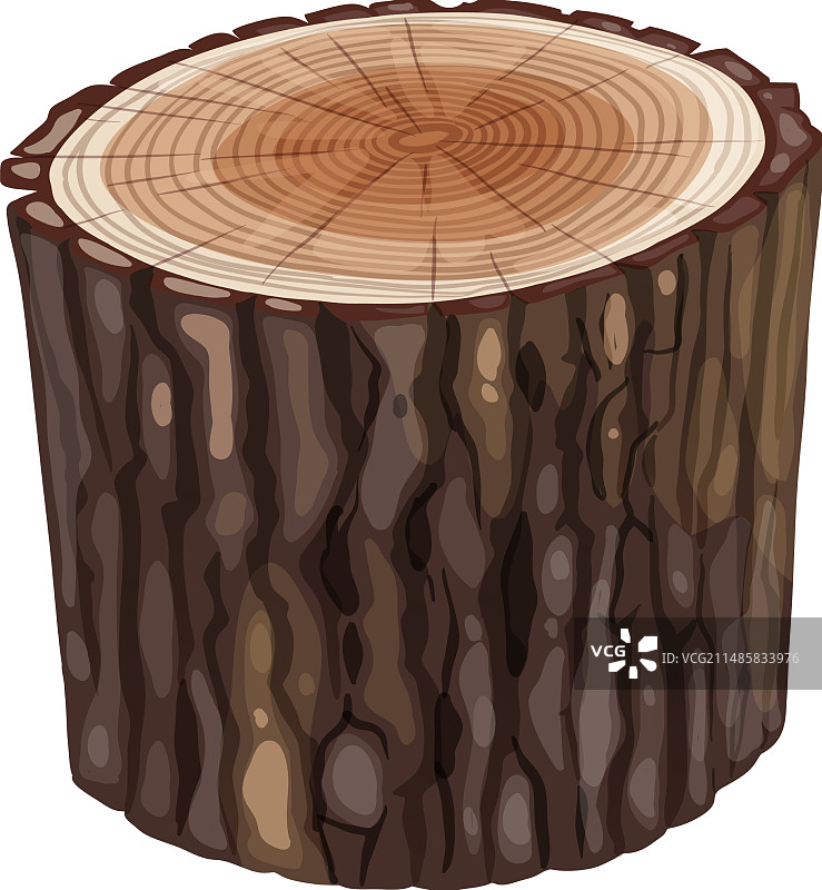 具有纹理树皮和年轮的逼真树桩图片素材