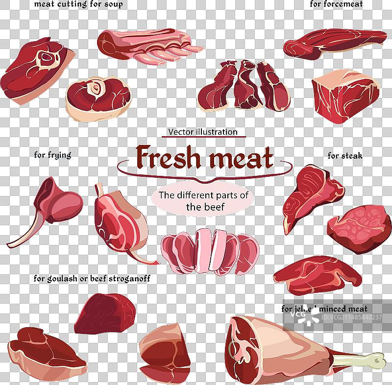 牛肉部位素描图图片素材