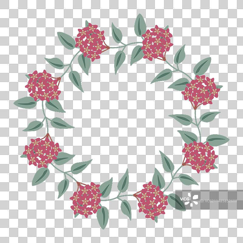 红色蜡花花环图片素材