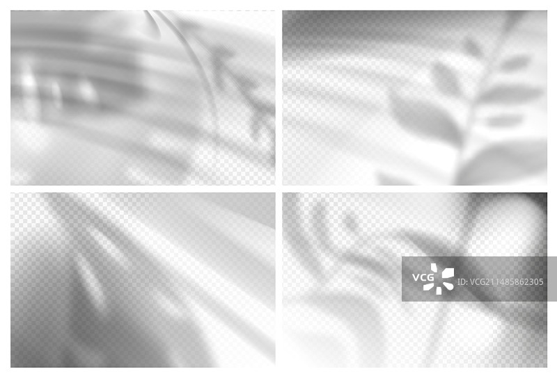 逼真棕榈叶和热带植物图片素材