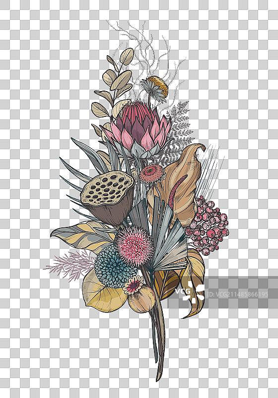 干花树叶组合图片素材