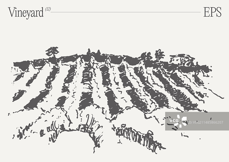 葡萄园景观复古葡萄酒标签背景图片素材